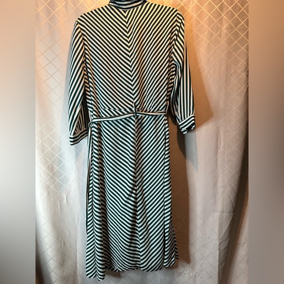 H & M Knee Length Belted Button Front Dress NWT - Picture 4 of 7